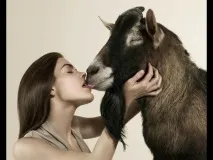 Чому дівчата не люблять добрих хлопців люблять