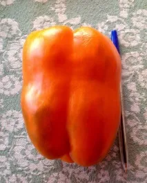 Перець солодкий - Біг мама - хто садив, опис, відгуки перець