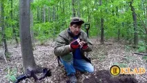 артефактів