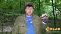 артефактів