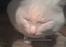 китай китай