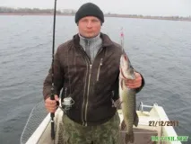 Чому я ловлю тільки на воблери від фірми Рапала Національна гільдія рибалок ловлю