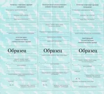 Отримання ліцензії на зброю зброю