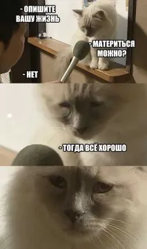 китай китай
