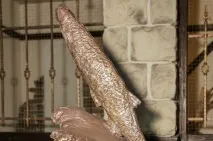 шамайка шамайка