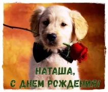 Вітання з днем народження Наталі, Сторінка 1 вітання