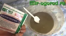 Обробка розсади фітоспорином обробка