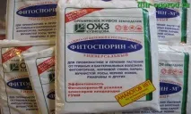 Обробка розсади фітоспорином Фітоспорин
