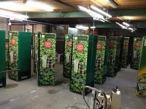 опаковане опаковане
