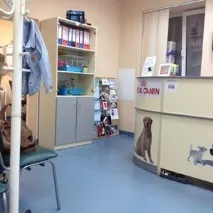 куче стилно