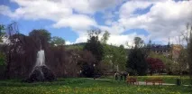 Прогулянки Баден-Баден, Імміграція до Німеччини, візові питання, блог про еміграцію - Surfin Birds прогулянки