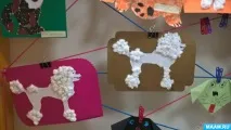 Проект «Собака друг