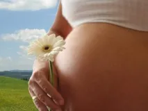ракът ракът