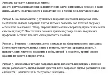Ритуал на виконання бажання з волоським горіхом та павуком, лавровим листом та відгуки, зі свічкою, в день виконання