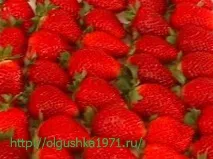 Ремонтантна полуниця, найкращі сорти для вирощування ремонтантна
