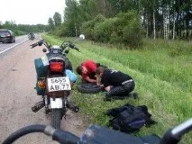 шини