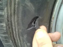 шини