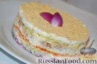 Салат Мімоза, Салат рибний, рецепти з фото на 44 рецепти мімоза