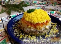 Салат Мімоза, Салат рибний, рецепти з фото на 44 рецепти мімоза