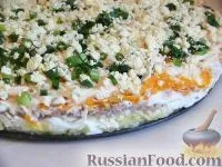 Салат Мімоза, Салат рибний, рецепти з фото на 44 рецепти салат