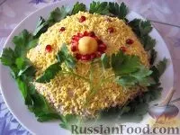 Салат Мімоза, Салат рибний, рецепти з фото на 44 рецепти фото
