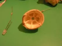 підсвічування
