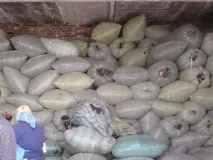 Збір та сортування вовни, Монгольський верблюд сортування