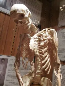 його