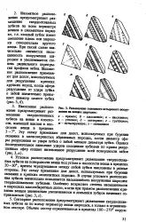 енциклопедия