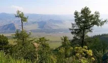 Село Алтайське Алтайського краю історія та цікаві факти алтайське