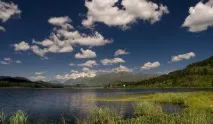 Село Алтайське Алтайського краю історія та цікаві факти історія
