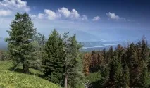 Село Алтайське Алтайського краю історія та цікаві факти історія