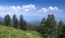Село Алтайське Алтайського краю історія та цікаві факти алтайського