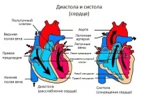 мърмори сърцето