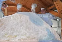 пълнозърнест пълнозърнест