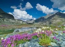 Село Алтайське Алтайського краю історія та цікаві факти село