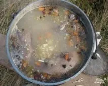 Шурпа з дикої качки - покроковий рецепт з фото качки
