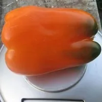 отзиви характеристики