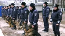 Службова вівчарка вчула наркотики у київському метро - У 19-річного хлопця вилучили пакетмарихуани, вівчарка