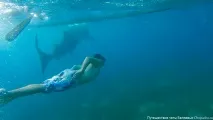 струва струва