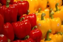 Солодкий перець хвороби у теплиці, причини, лікування, фото, відео перець