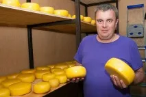 Сир наш як допомогли галузі три роки продуктового ембарго роки