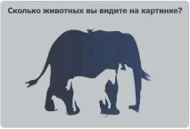 колко снимката
