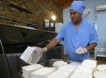 Сир наш як допомогли галузі три роки продуктового ембарго допомогли