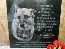 Самоусъвършенстването навредило Самоусъвършенстването навредило