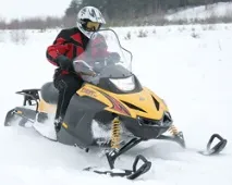 шейни задно окачване