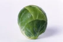 глави зеле брюкселско