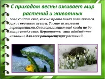 растенията животните