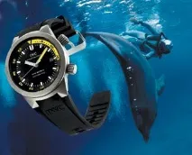 Стиль епохи від Aquatimer стиль