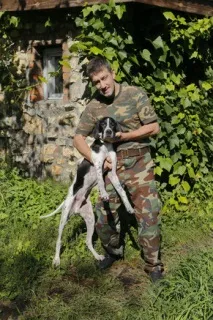 стихотворения стихотворения